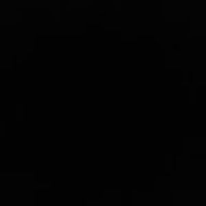 Meet your Posher, Petey